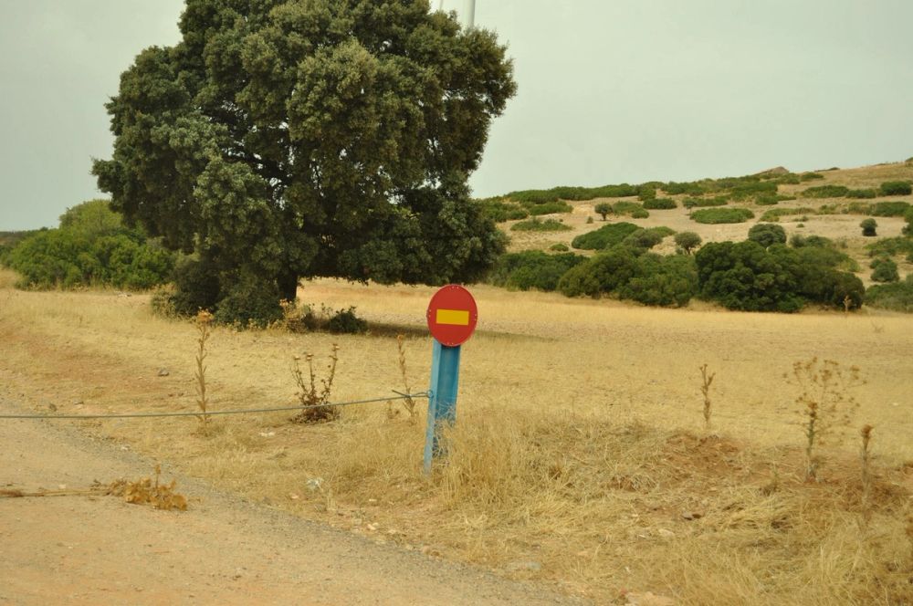 Lillo 2013 