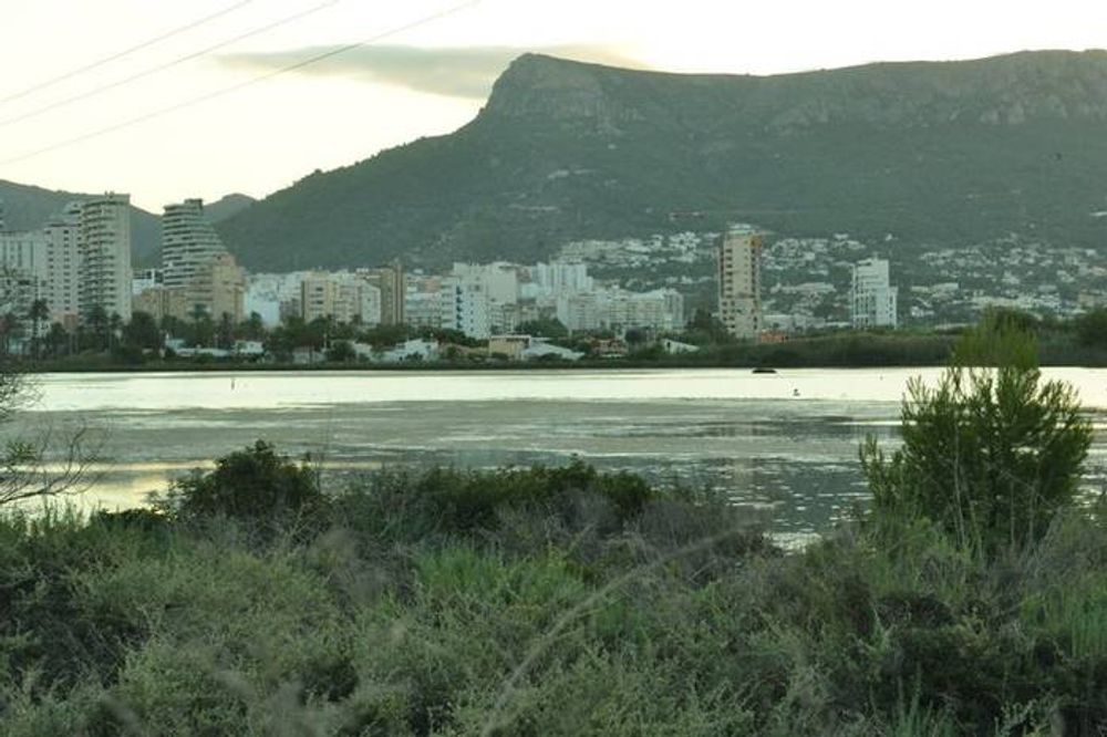 Calpe 2011