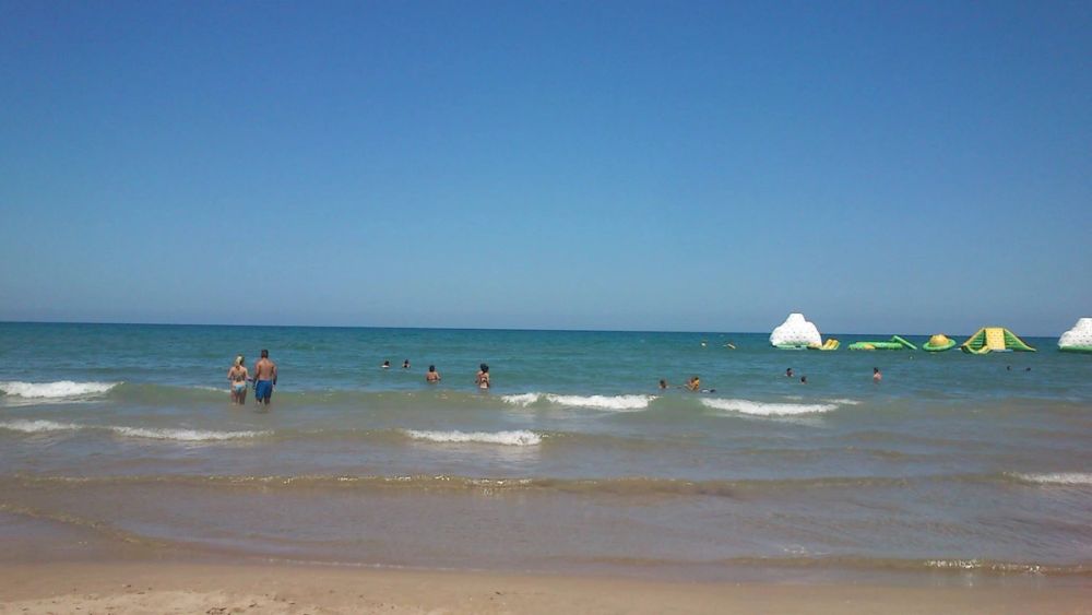 Gandia 2013