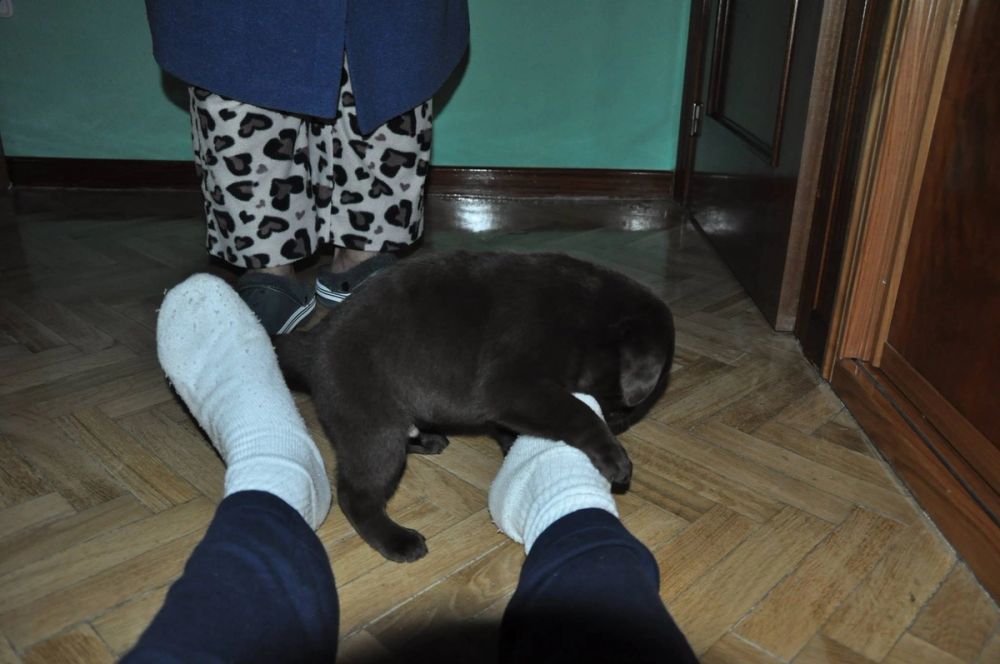 baby Conan