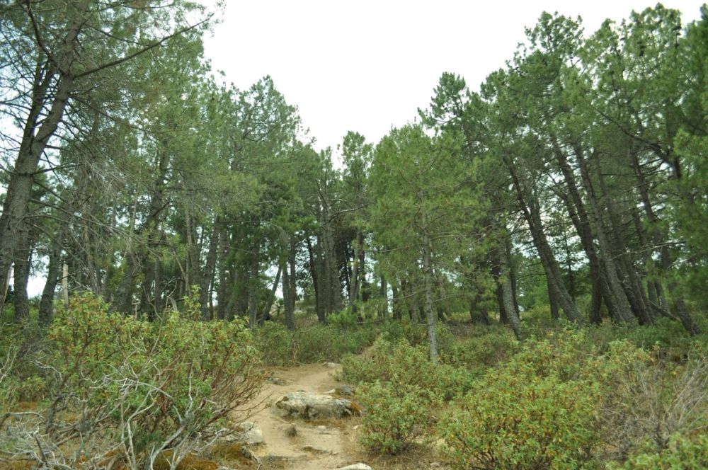 Berrecil de la sierra 10-07-2013