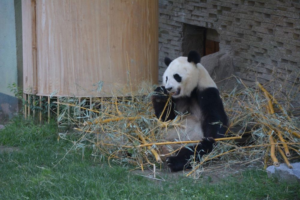 zoo 07-07-2018