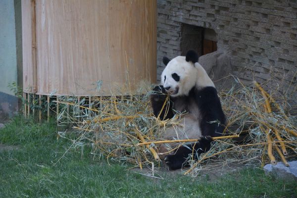 zoo 07-07-2018