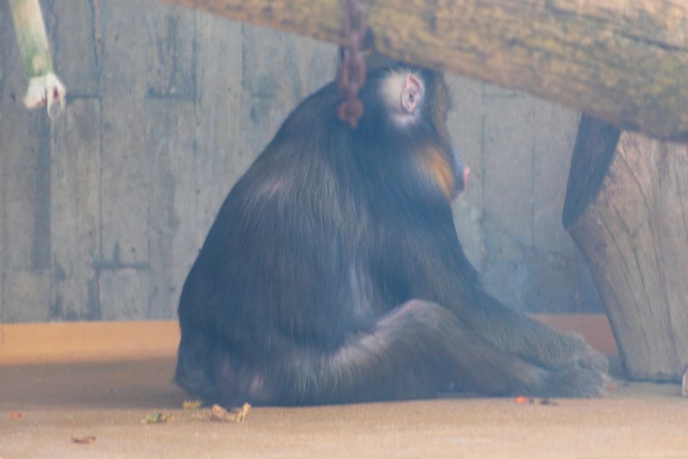 Zoo 17-08-2024