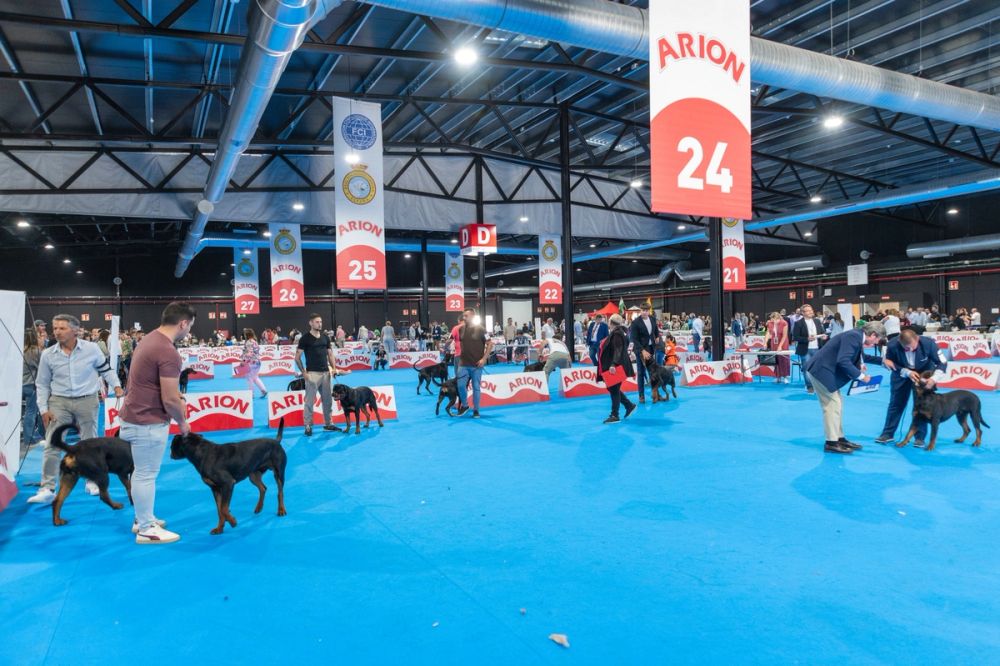 Exposicion canina (ciudad real) 02-06-2024