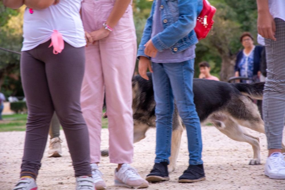 Formacion de perro policia 22-09-2019
