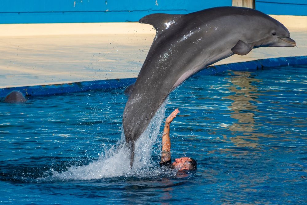 Zoo 17-08-2024