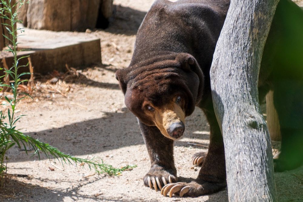 Zoo 17-08-2024