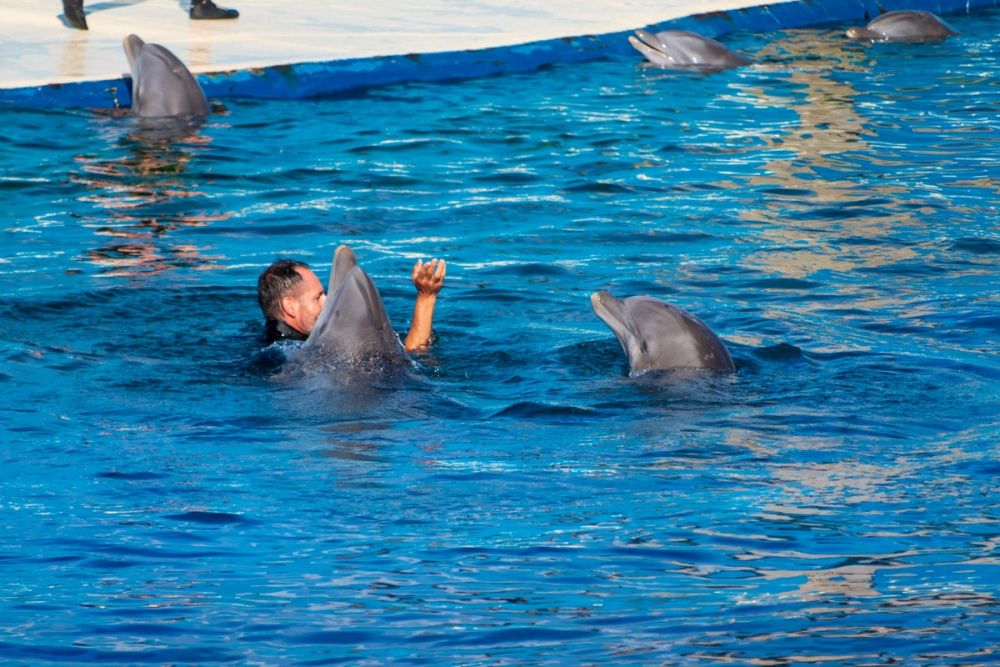 Zoo 17-08-2024