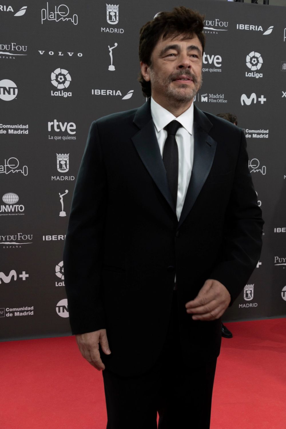 Benicio del Toro