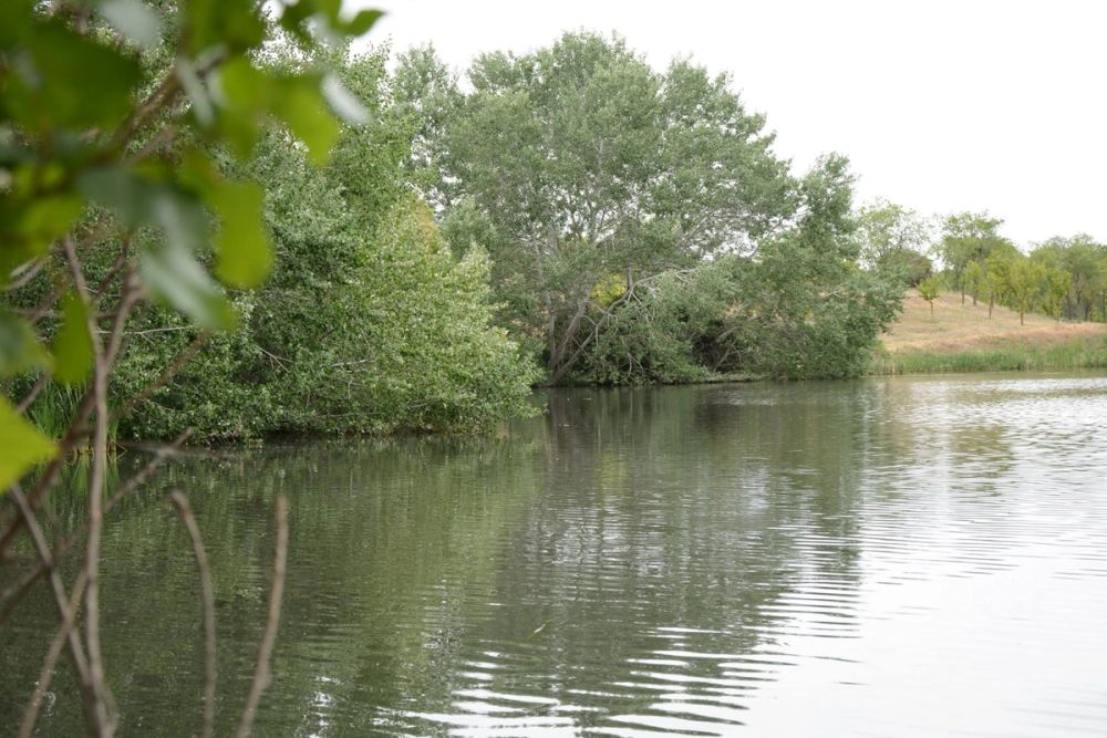 Naturaleza Parque polvoranca (Leganes) 10-06-2019