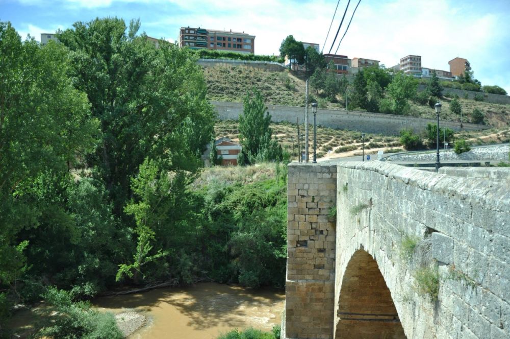 Roa del duero 2014