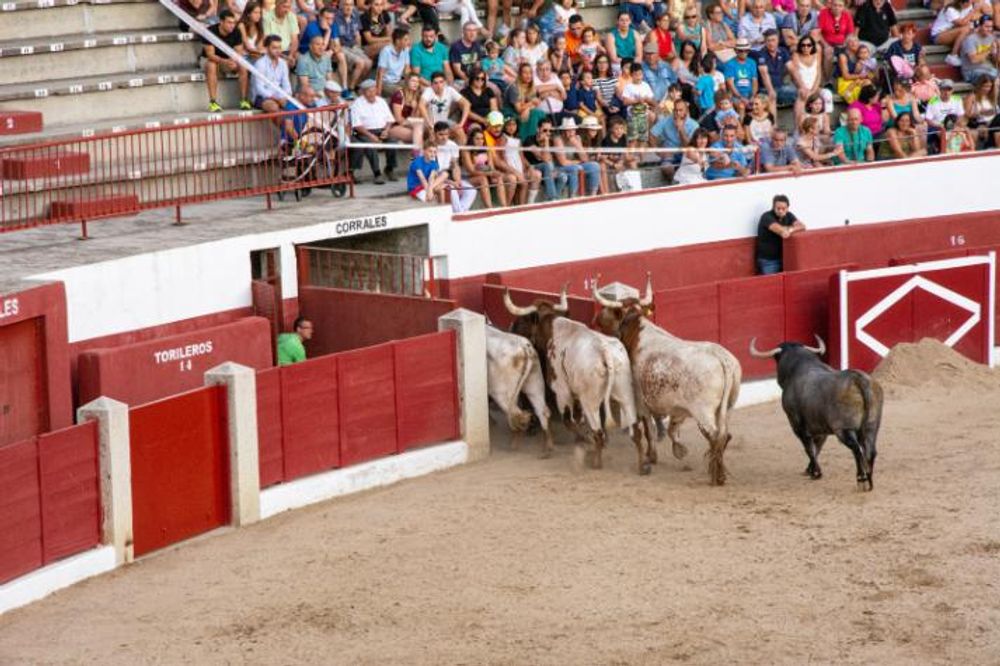 Toros en Colmenar Viejo 22-08-2019
