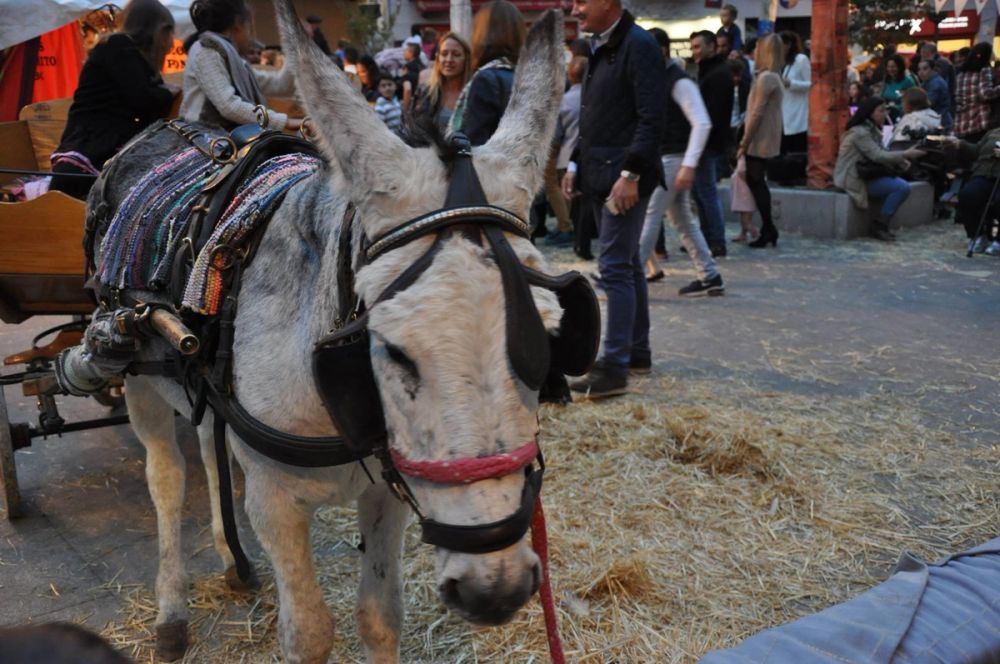 Feria Mediaval (Leganes) 2016