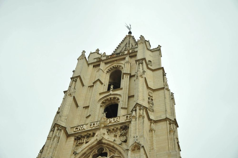 Leon 2014