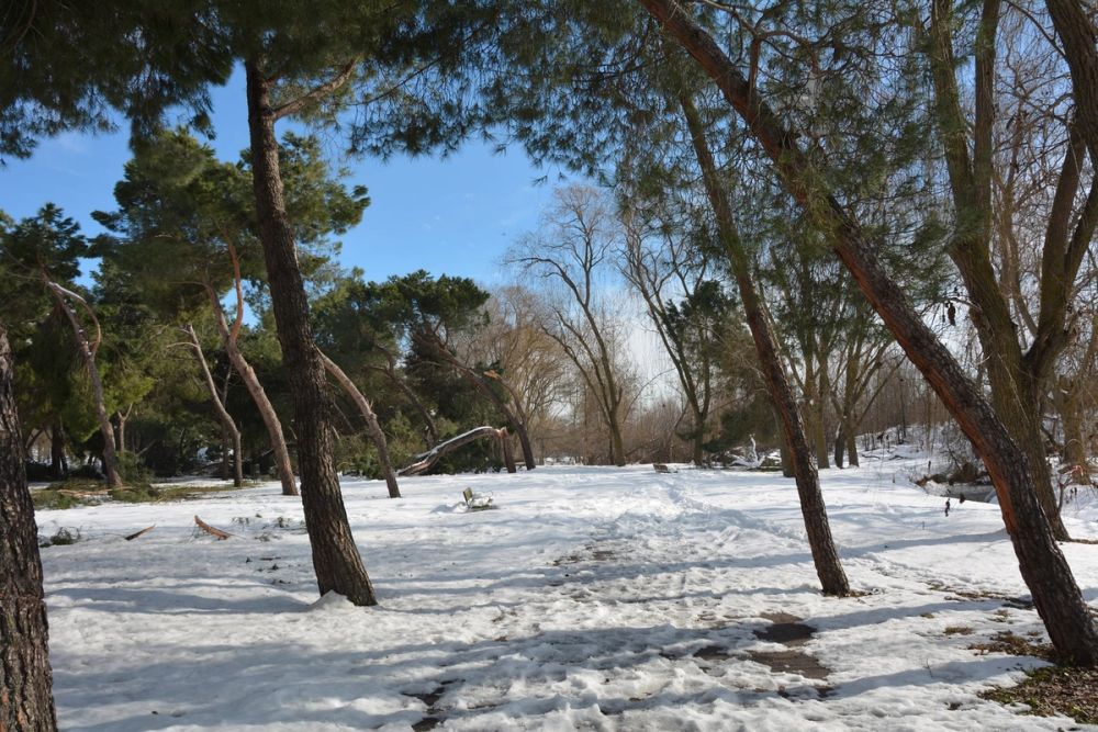 Leganes Nevado 2021 Dia 3