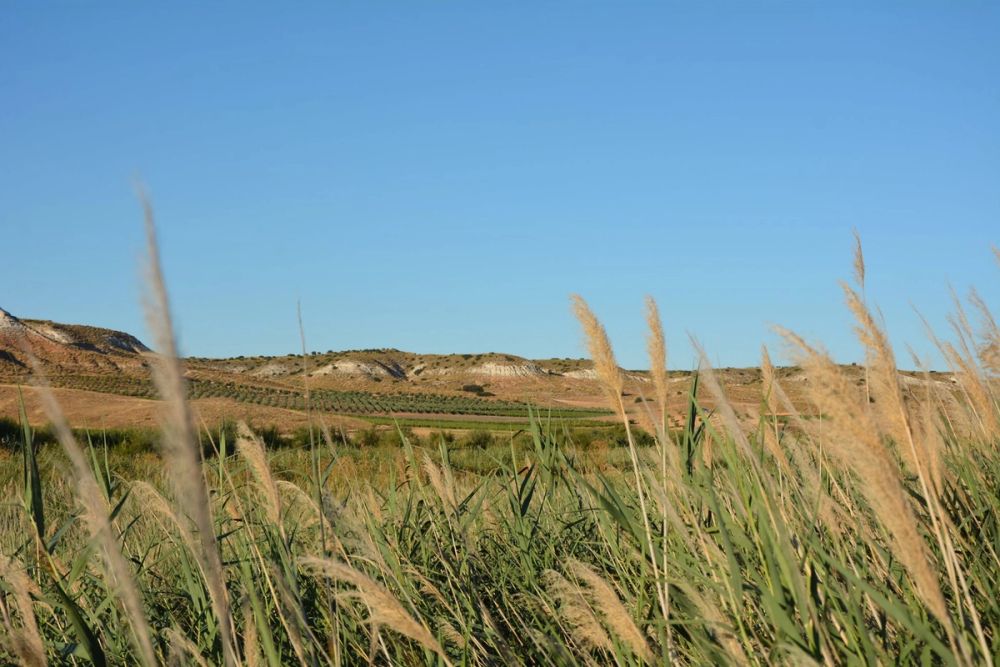 Lagunas de la guardia y Ermita del Santo Niño (La guardia) 2020