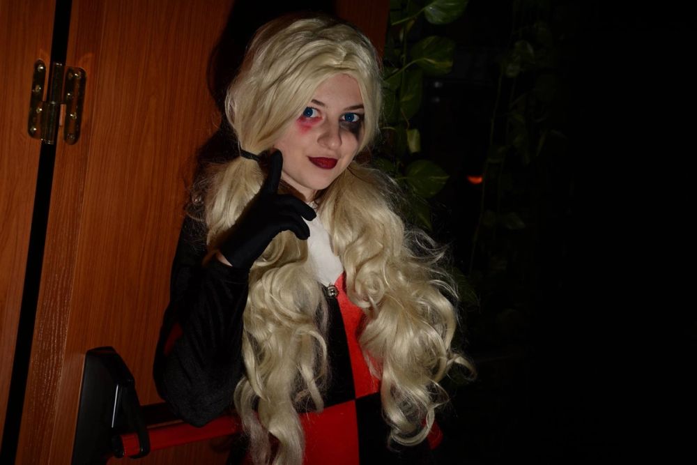 harley quinn 24-02-2019