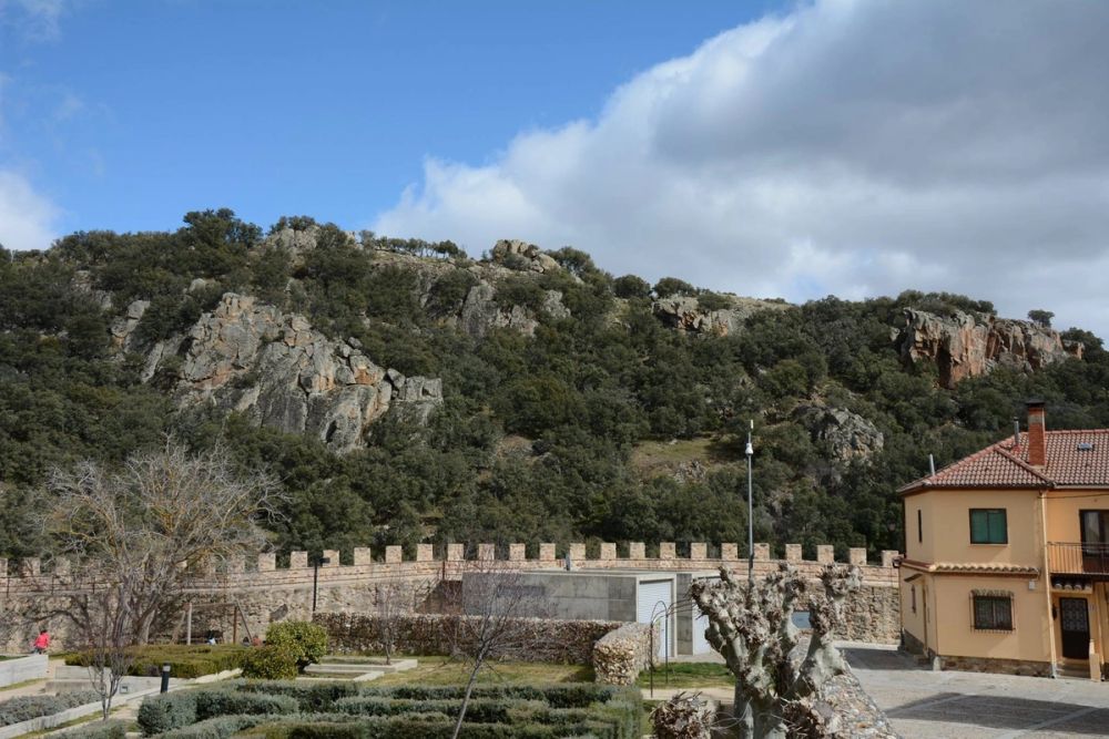 Buitrazo de Lozoya 04-03-2017
