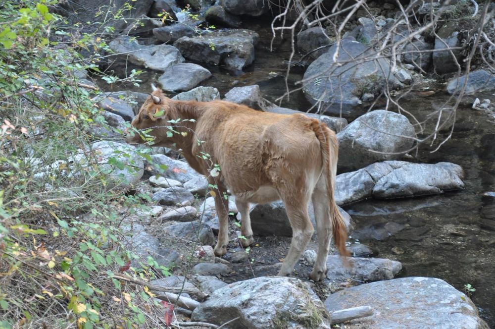Cascadas del purgatorio 27-09-2015