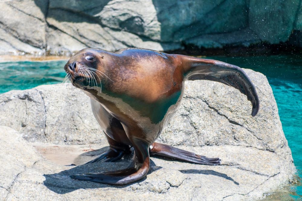 Zoo 17-08-2024