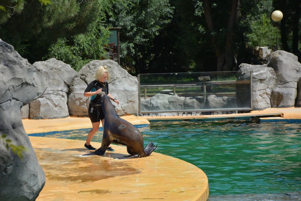 zoo 07-07-2018