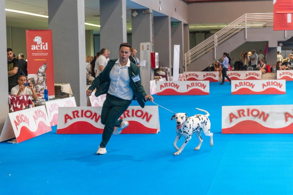 Exposicion canina (ciudad real) 01-06-2024