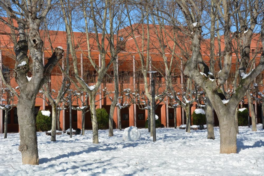 Leganes Nevado 2021 Dia 2