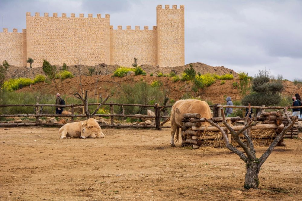 Puy Du Fou 19-03-2022