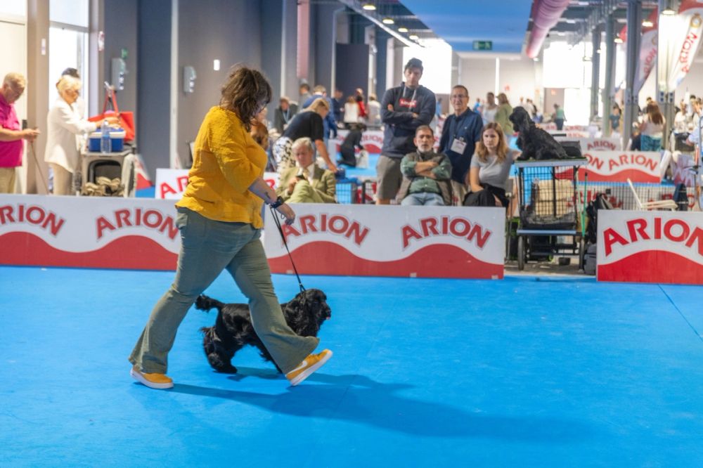 Exposicion canina (ciudad real) 02-06-2024
