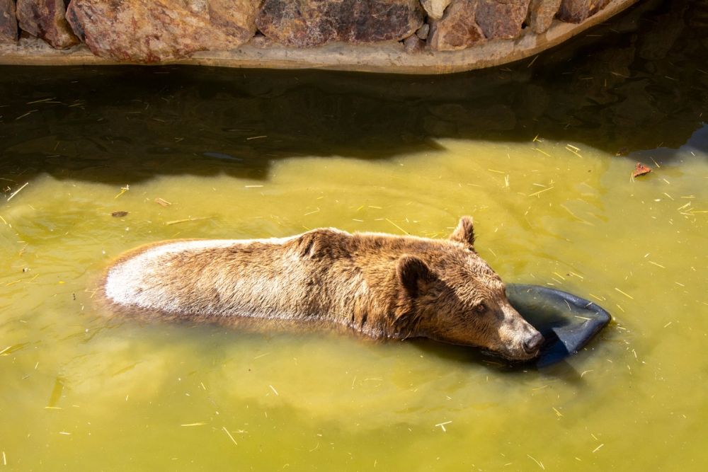 Zoo de Lillo 03-09-2022