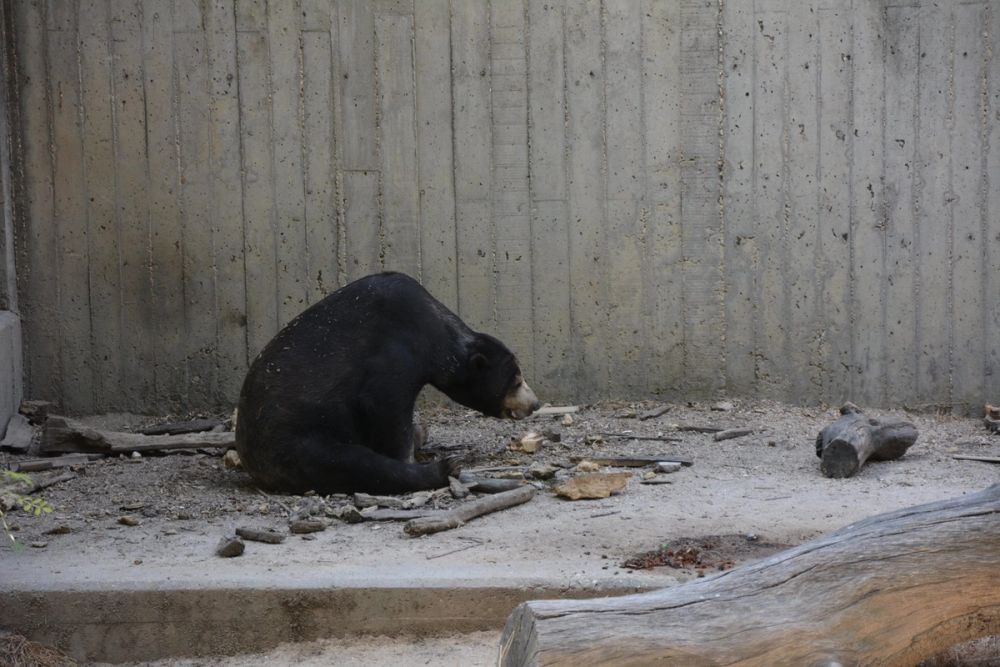 zoo 07-07-2018