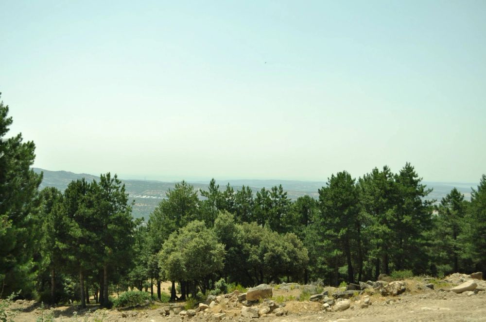 Berrecil de la sierra 10-07-2013