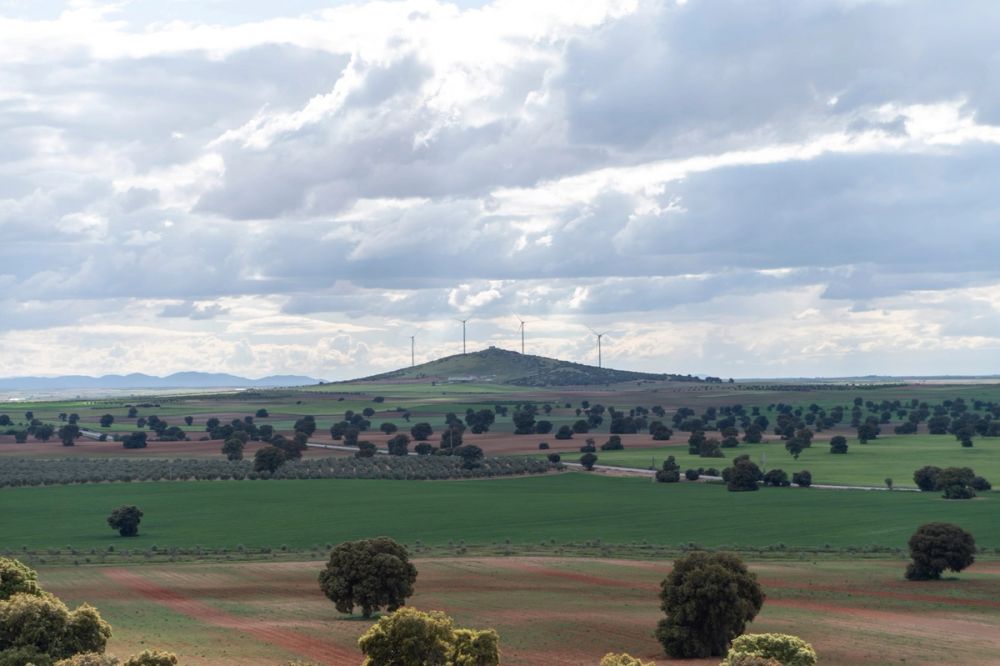 Sierra de Corral de Almaguer 03-05-2025