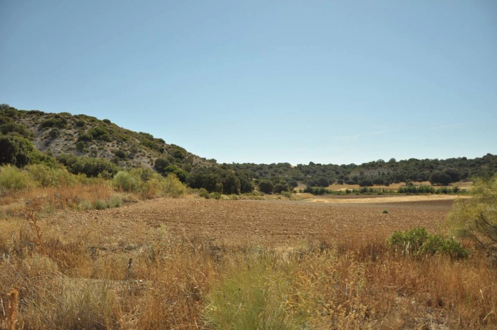 Valle de Lillo 2017