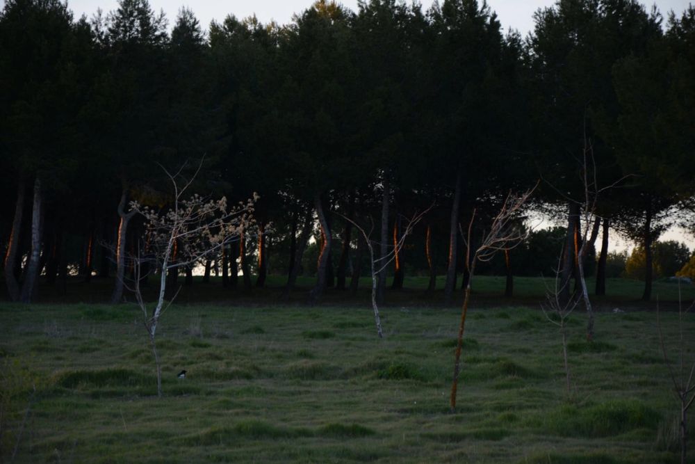 Parque Polvoranca (Leganes) 18-03-2017