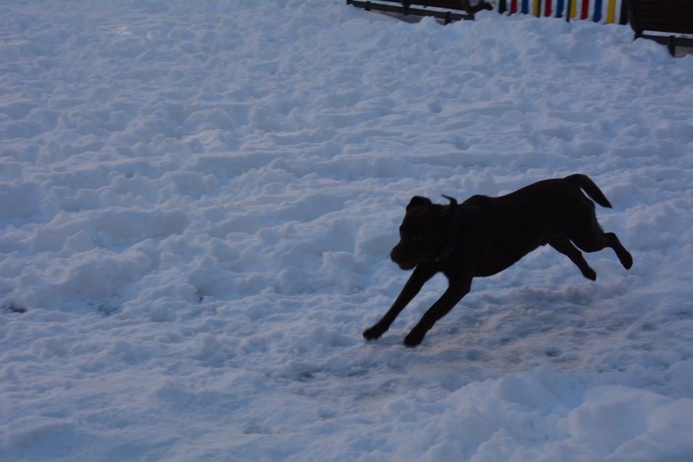 Conan en la nieve (leganes) 2021