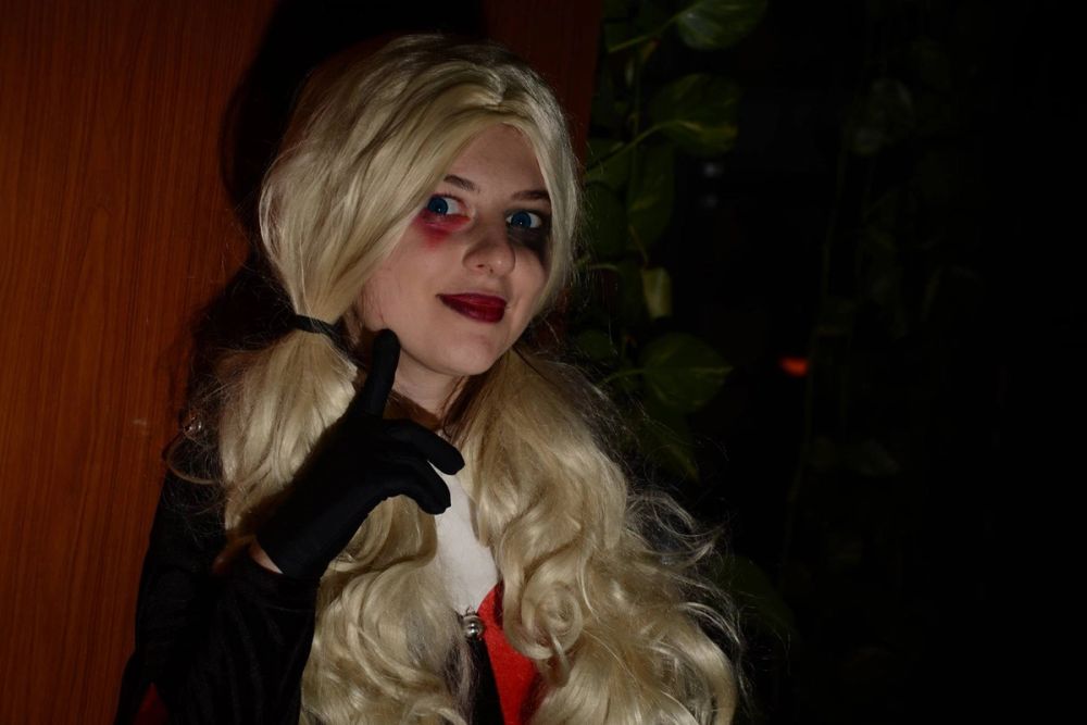 harley quinn 24-02-2019