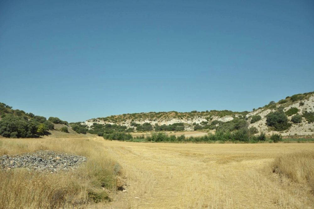Valle de Lillo 2017