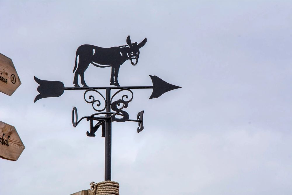 Puy Du Fou 19-03-2022