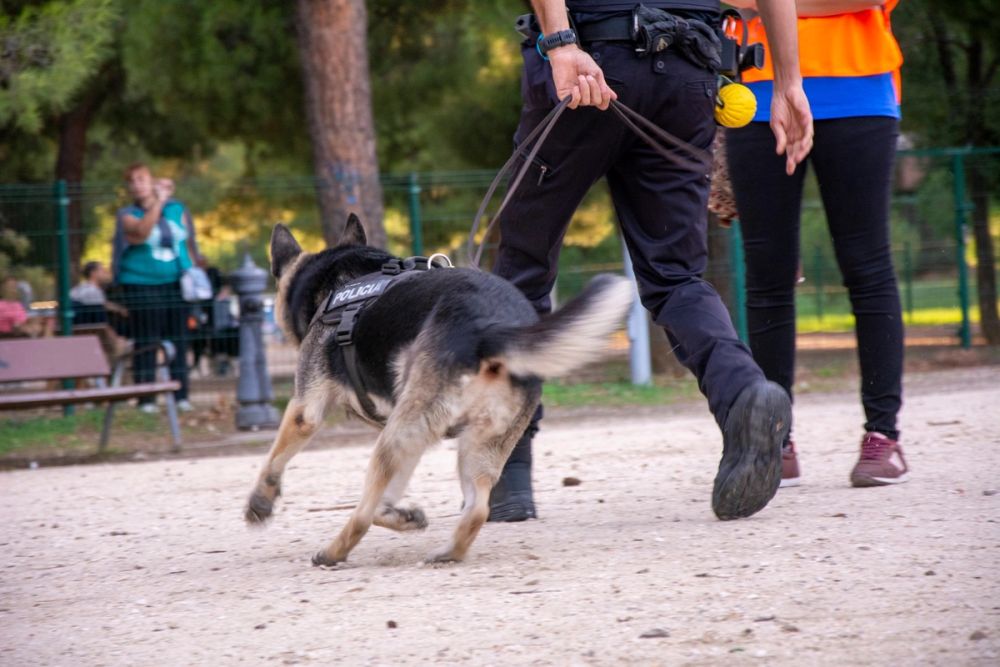 Formacion de perro policia 22-09-2019