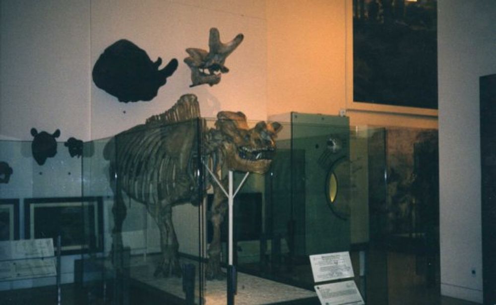 New York 2003