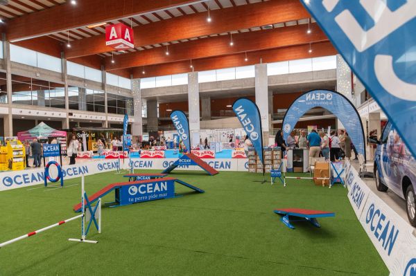 Exposicion canina (ciudad real) 01-06-2024