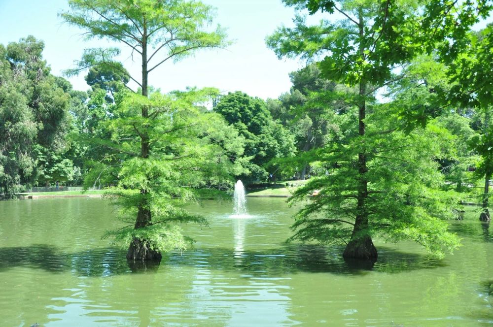 Parque del Retiro (Madrid) 30-05-2015