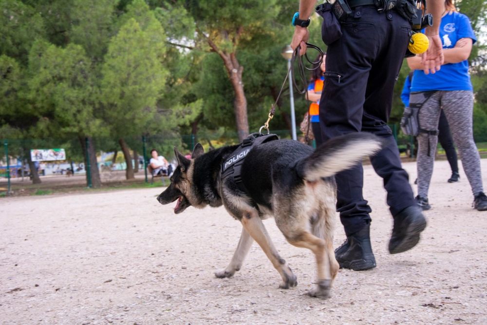 Formacion de perro policia 22-09-2019