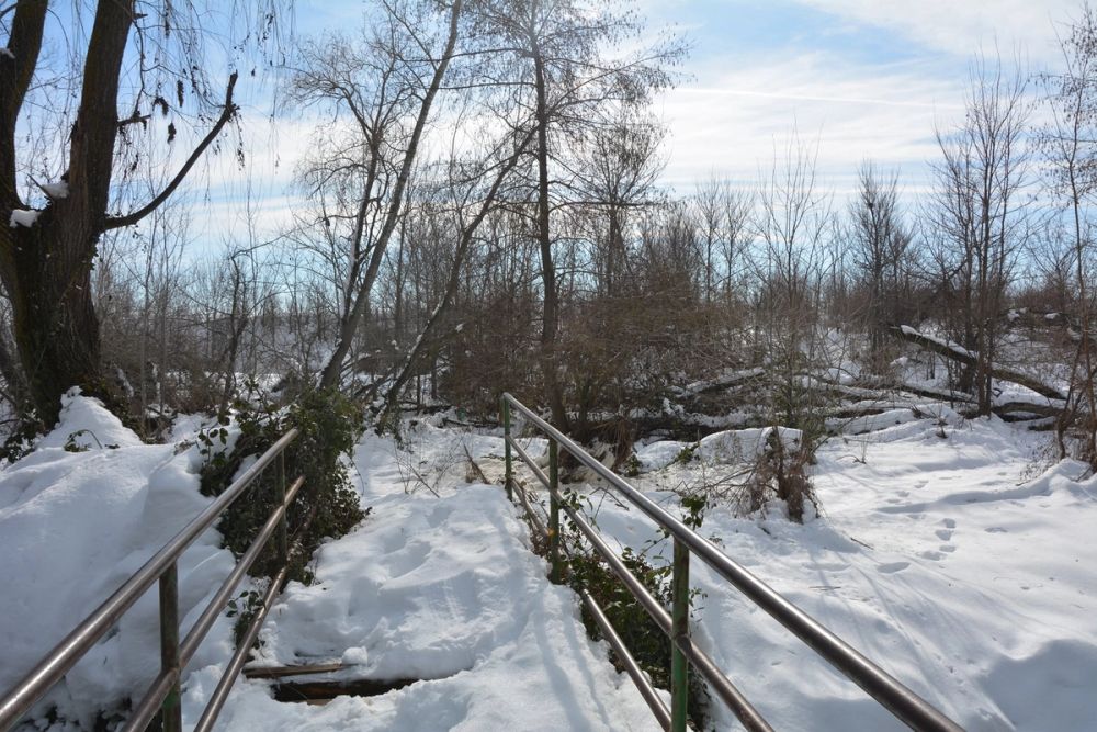 Leganes Nevado 2021 Dia 3