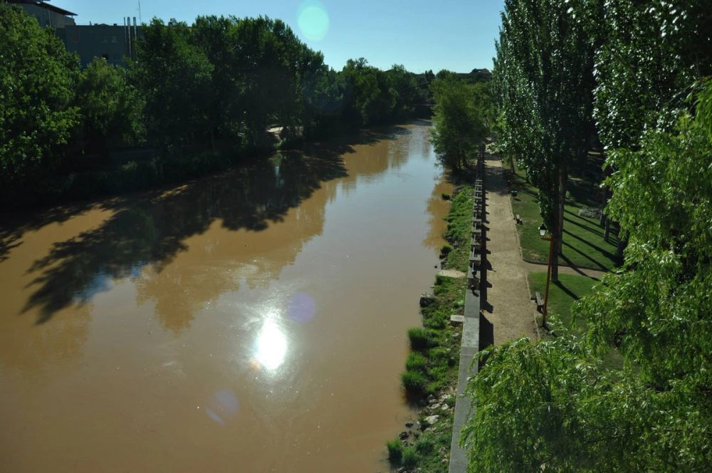 Aranda del duero 2014