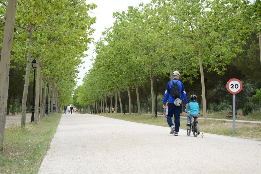 Parque polvoranca (Leganes) 10-06-2019