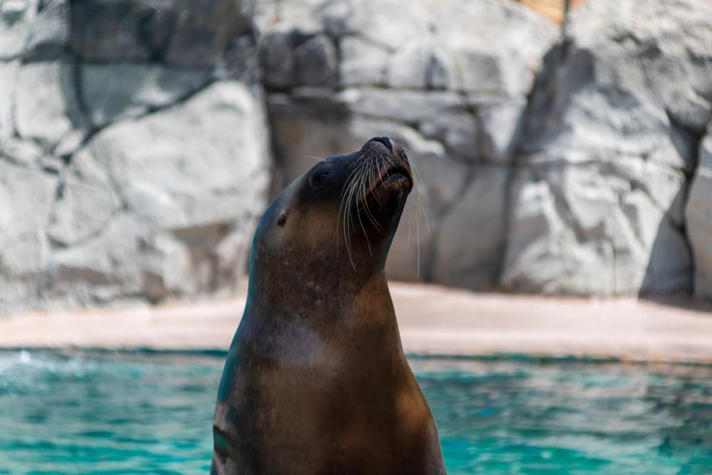 Zoo 17-08-2024