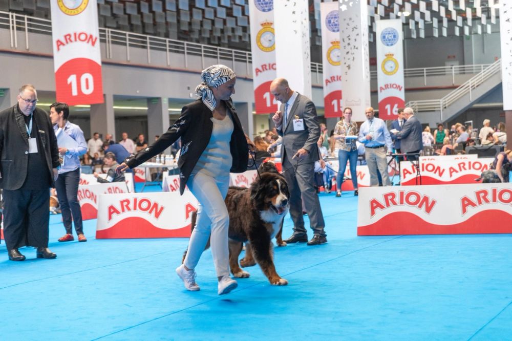 Exposicion canina (ciudad real) 01-06-2024